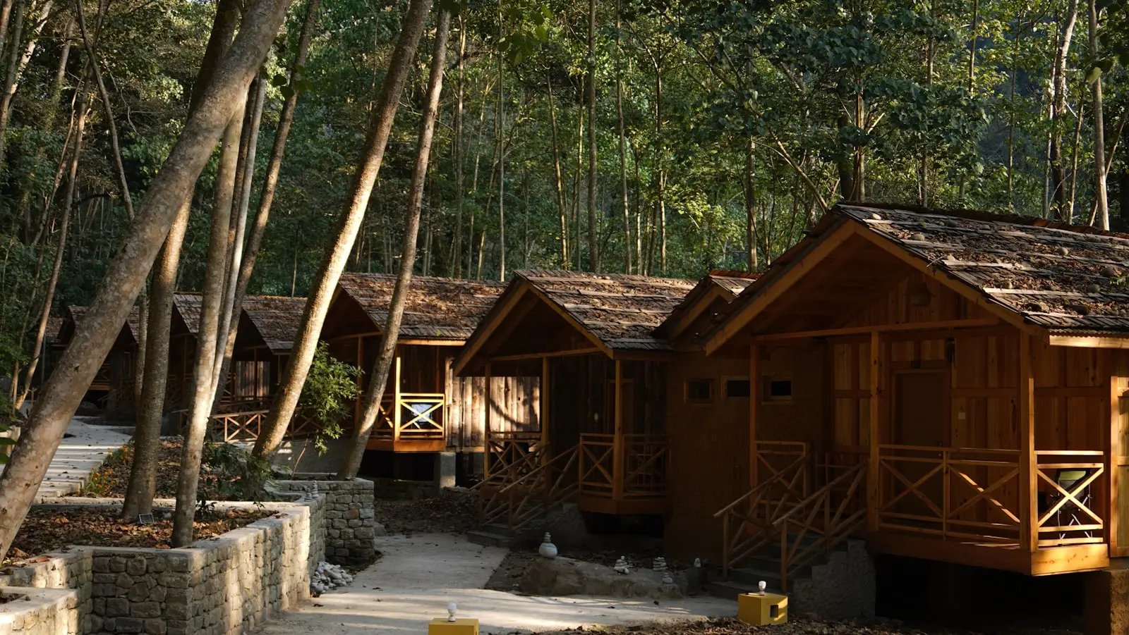 Rangée de cabanes en bois sur pilotis le long d'un chemin forestier dans un écodomaine