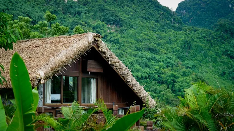 Cabane en bois au toit de chaume nichée dans une végétation tropicale luxuriante, écodomaine nature