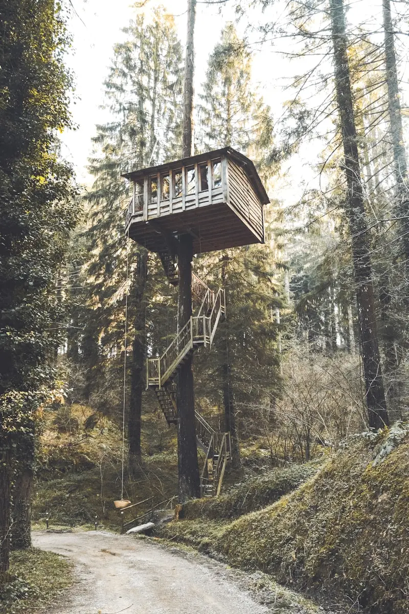 Cabane perchée dans les arbres avec escalier en bois, hébergement insolite en pleine forêt