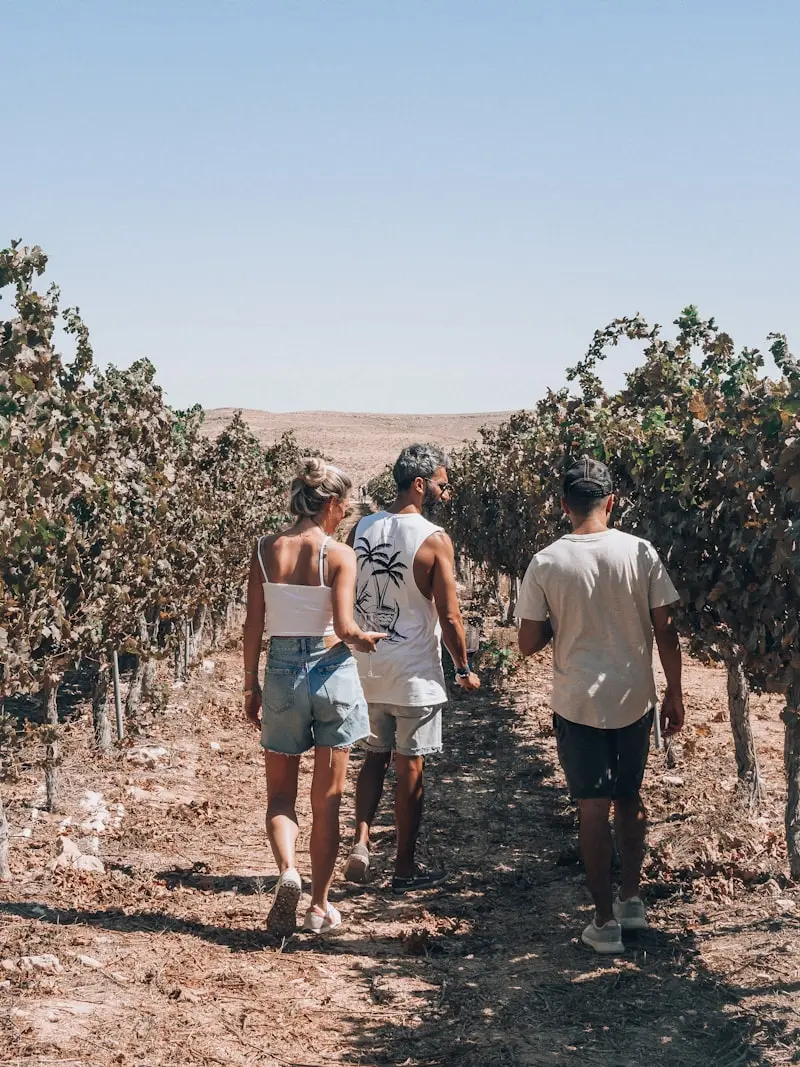 Groupe de visiteurs découvrant les rangs de vigne lors d'une visite guidée d'œnotourisme