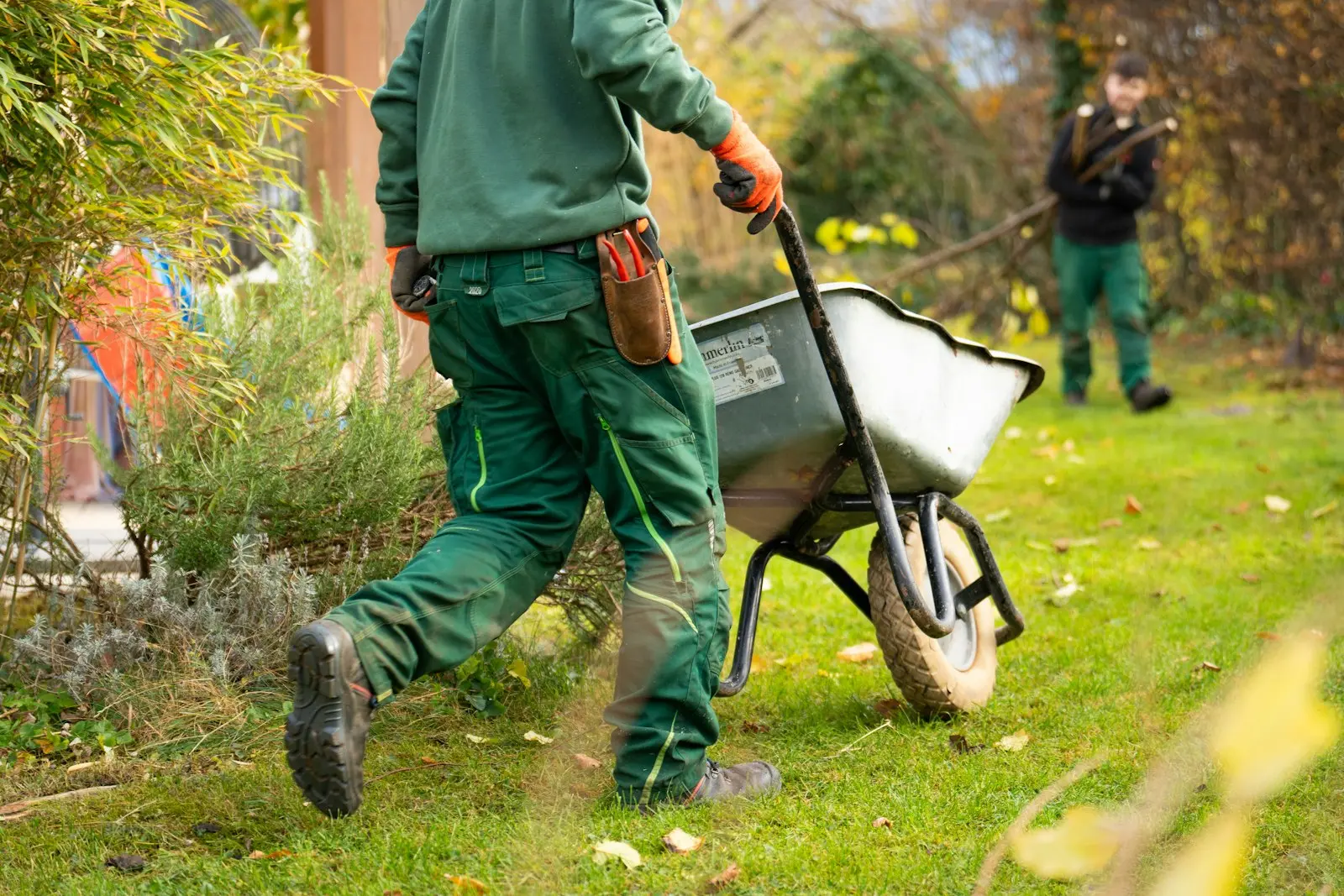 Paysagiste poussant une brouette chargée de végétaux dans un jardin en entretien