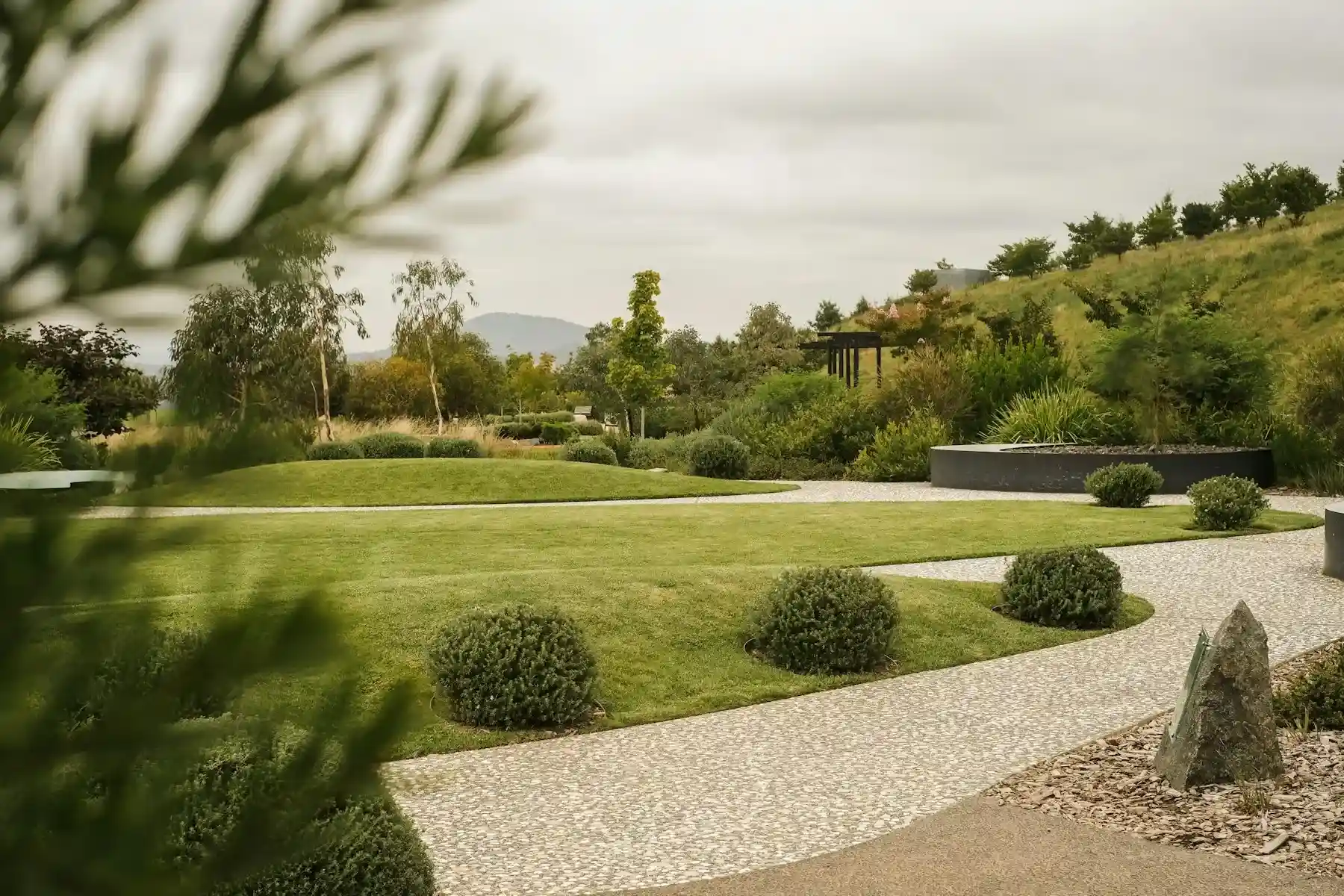 Jardin paysager contemporain avec pelouse arrondie, allée en gravier et arbustes taillés