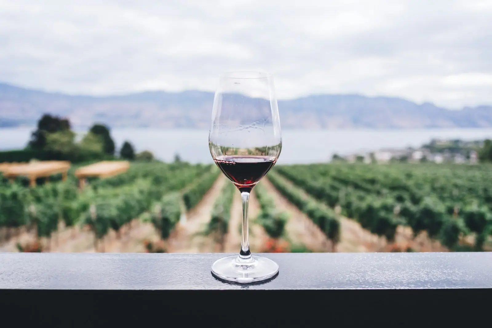 Verre de vin rouge posé sur une rambarde face à un panorama de vignes et de montagnes