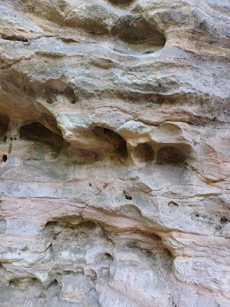 Gros plan d'une paroi rocheuse poreuse aux tons minéraux